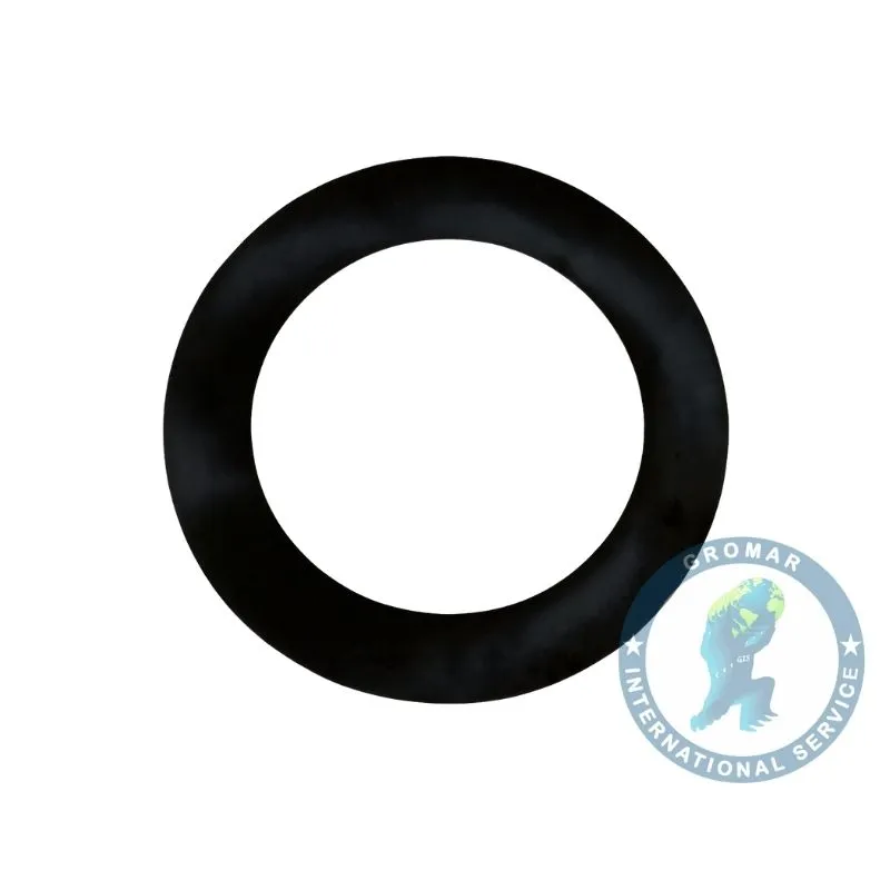 Arandela Planetario Ho4 O400 O500