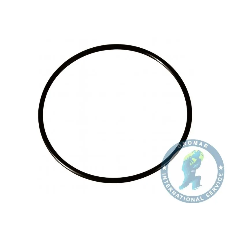 Oring 895X3 Go210 G210 240