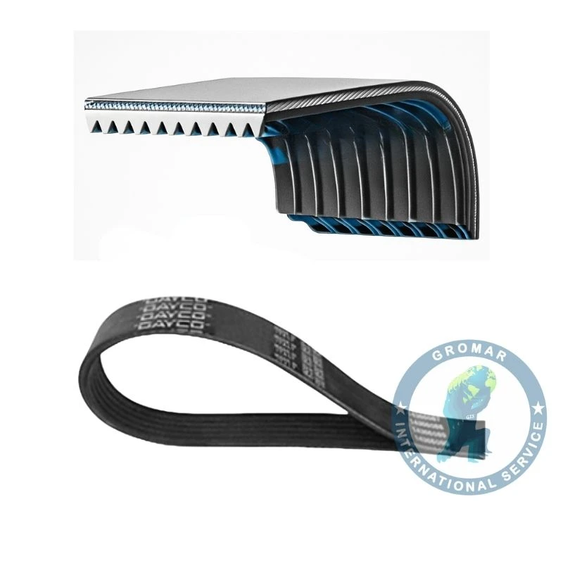 Correa Bomba Agua 2 Alternador Sc Interior