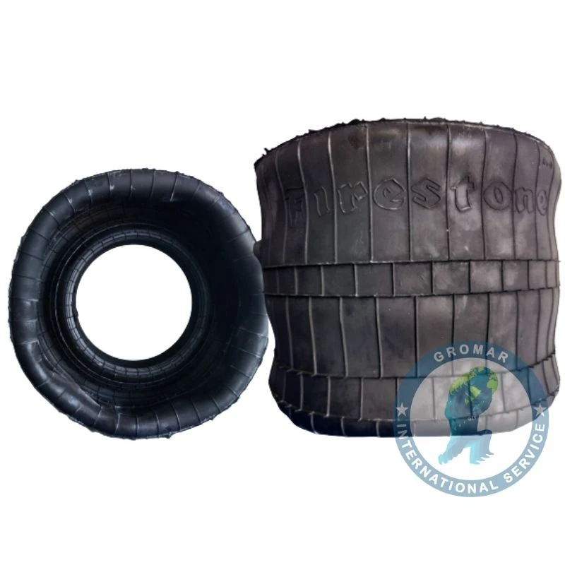 Bolsa De Aire Posterior