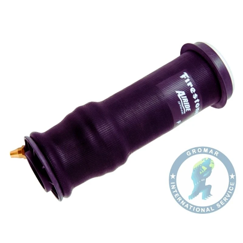 Bolsa Delantera Posterior Cabina Pgrt