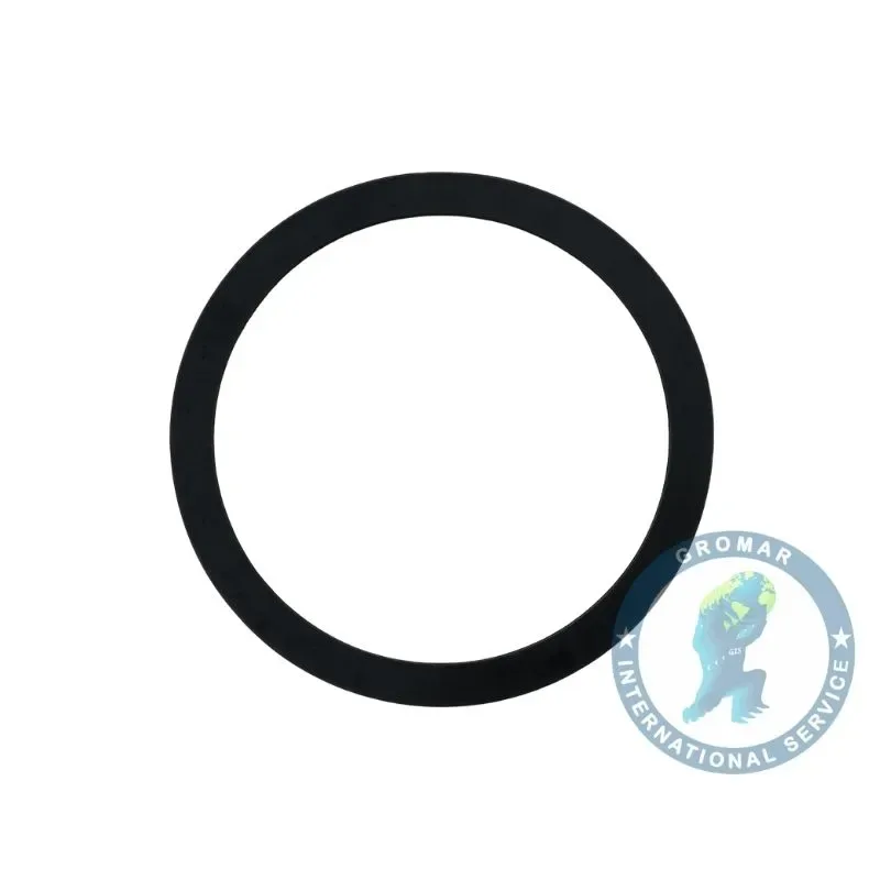 Arandela 025Mm Caja Go210 para camiones -CEI 3892623055