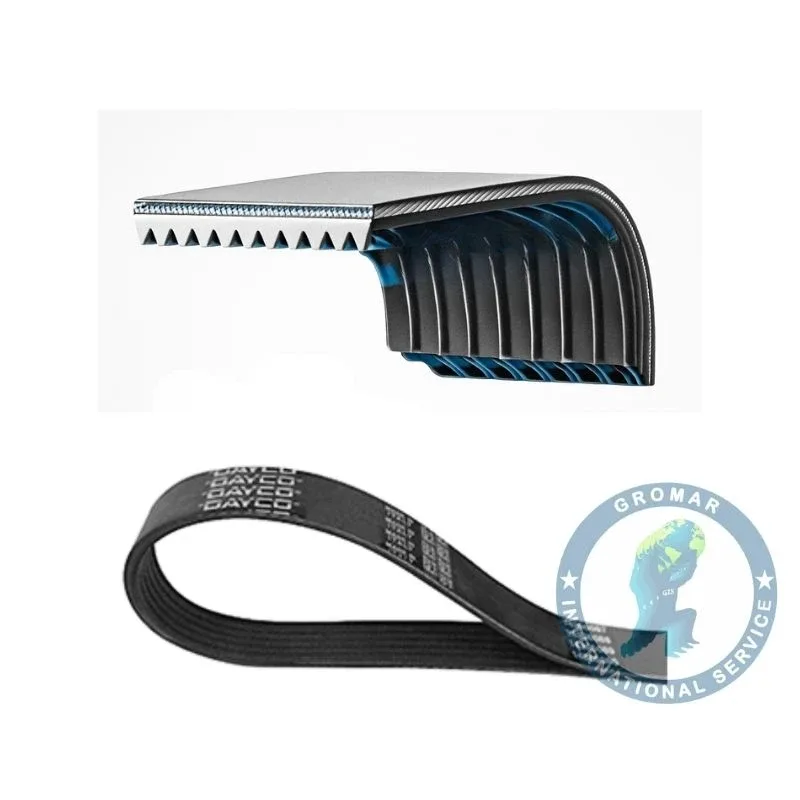 Correa Scania para camiones -DAYCO 2447572