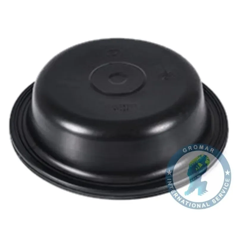 Diafragma De Freno Hondo T para camiones -BINS TWH24