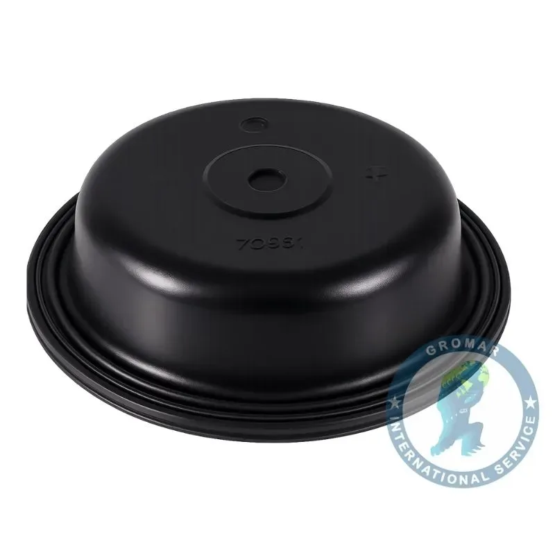 Diafragma De Freno Hondo T para camiones -BINS TWH30